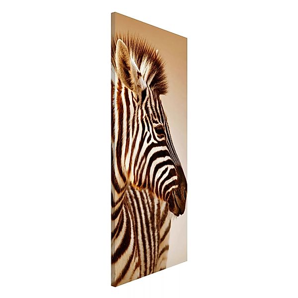 Magnettafel Tiere - Hochformat 1:2 Zebra Baby Portrait günstig online kaufen