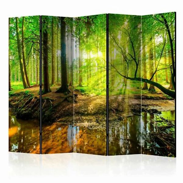 artgeist Paravent Forest Stream II [Room Dividers] mehrfarbig Gr. 225 x 172 günstig online kaufen