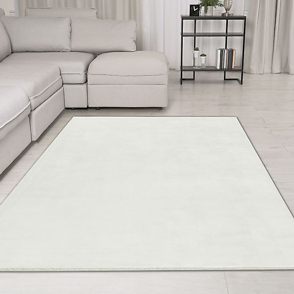 TeppichHome24 Teppich Moderner Teppich hoch und günstig online kaufen