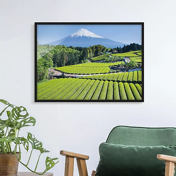Bild mit Rahmen Natur & Landschaft - Querformat Teefelder vor dem Fuji günstig online kaufen