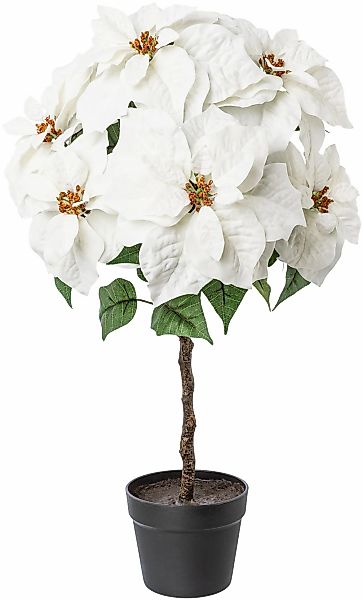 Winterliche Kunstpflanze Weihnachtsdeko Weihnachtsstern, Creativ deco, Höhe günstig online kaufen