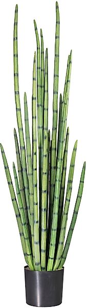 Kunstpflanze Sanseveria, Creativ green, Höhe 140 günstig online kaufen