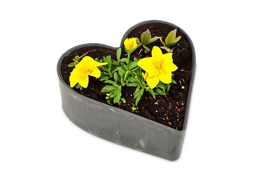 matches21 HOME & HOBBY Blumentopf Herz Pflanzschale für draussen marmoriert günstig online kaufen