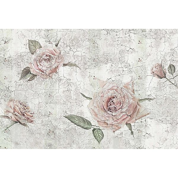 Komar Vliestapete »Digitaldruck Vlies - Tantinet - Größe 400 x 260 cm« bedr günstig online kaufen