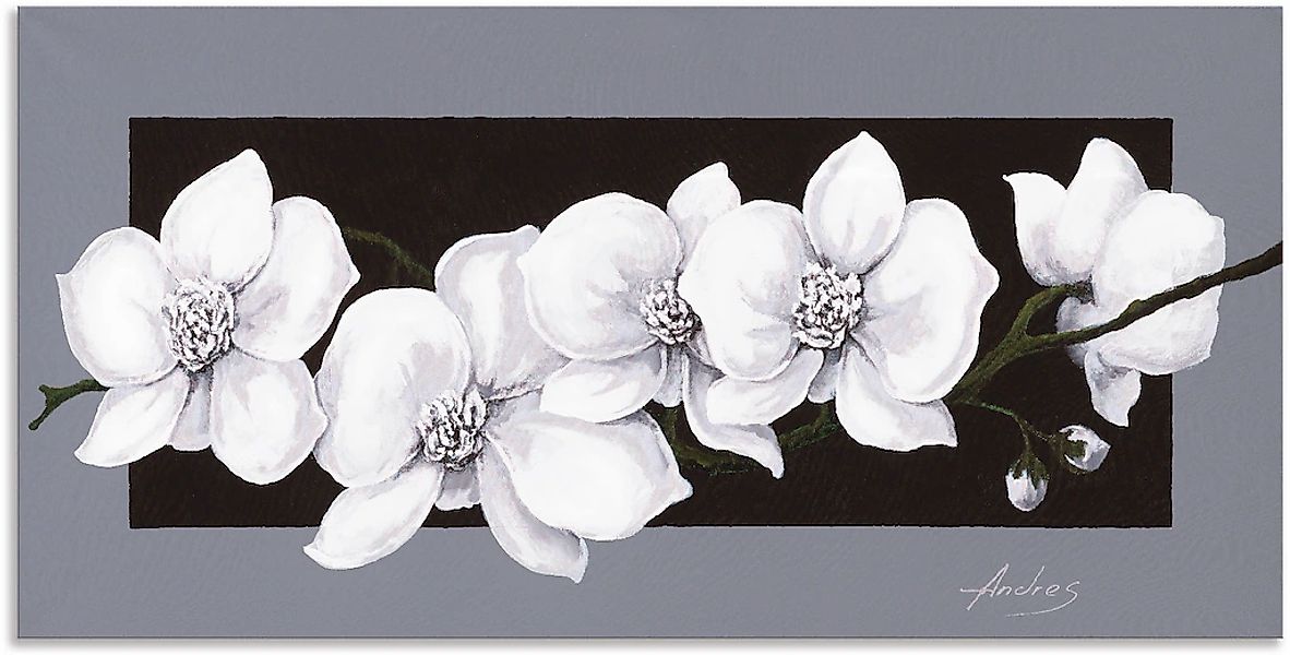 Artland Wandbild "Weiße Orchideen auf grau" 1 Stk. tlg. als Alubild, Outdoo günstig online kaufen