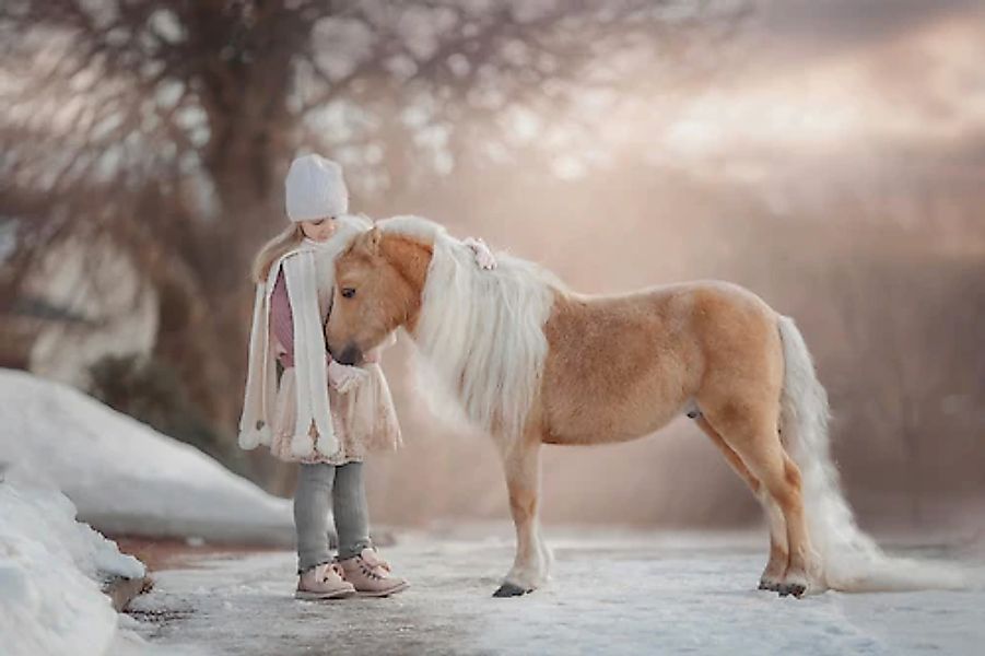 Papermoon Fototapete »PALOMINO MINIATURE PFERD-MÄDCHEN WINTER TIER PONY MIN günstig online kaufen