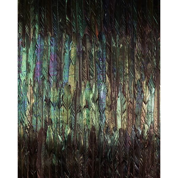KOMAR Vlies Fototapete - Dark Wings  - Größe 200 x 250 cm mehrfarbig günstig online kaufen