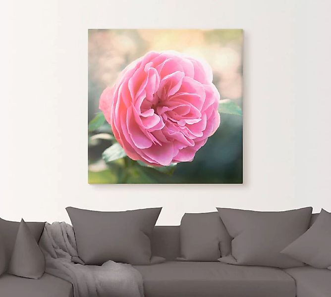 Artland Wandbild "Rosa Rose im Gegenlicht", Blumen, (1 St.), als Leinwandbi günstig online kaufen