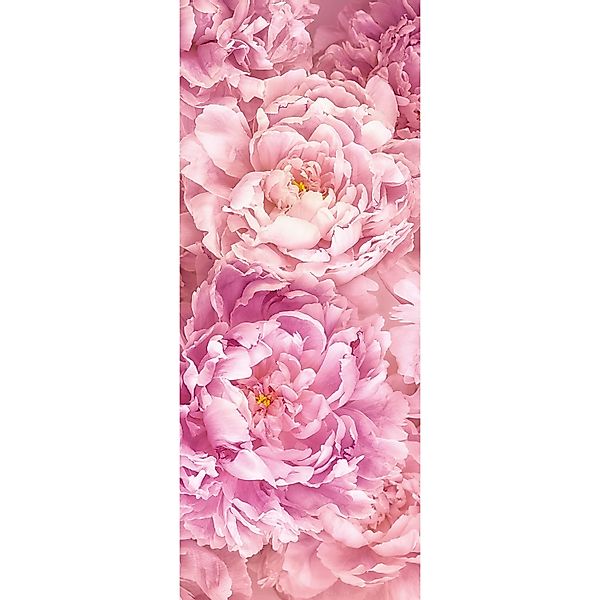 Komar Fototapete Vlies Shelly White Panel 100 x 250 cm  100 x 250 cm günstig online kaufen