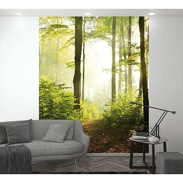 Marburg Vliestapete Floral Laubwald Grün 270 cm x 212 cm FSC® günstig online kaufen