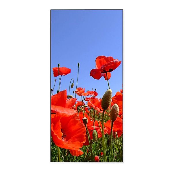 Banjado Magnettafel 37x78cm Magnetwand  Schwarz Aus Metall Magnetpinnwand P günstig online kaufen