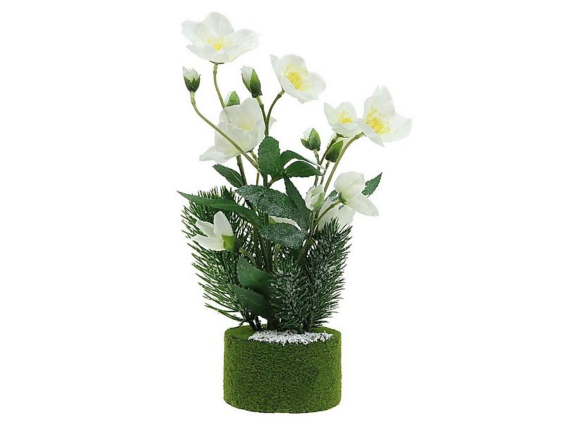 Winterliche Kunstpflanze Christrose künstlich Weiß, Viana, Höhe 33 cm günstig online kaufen