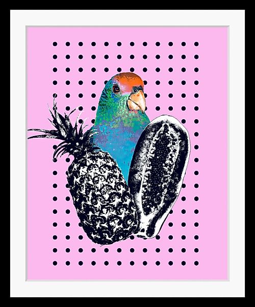 queence Bild »Luana« Ananas   Foto   Kunst   Papageien   Süßigkeiten   Süßs günstig online kaufen