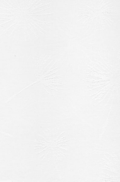 Neutex for you! Dekokissen »Fresh«, Kissenhülle ohne Füllung, 1 Stück günstig online kaufen