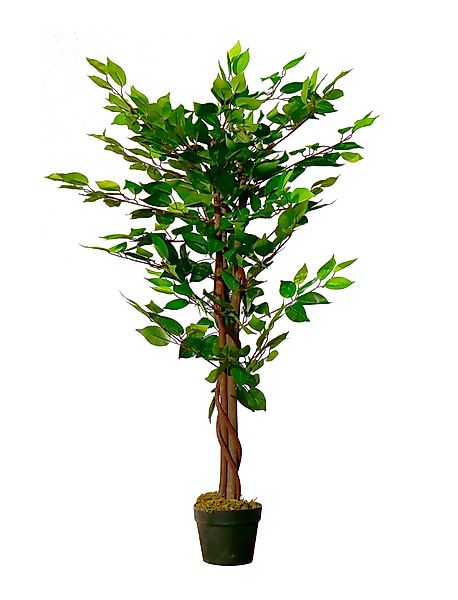 Künstliche Zimmerpflanze Kunstpflanze im Blumentopf 115 günstig online kaufen