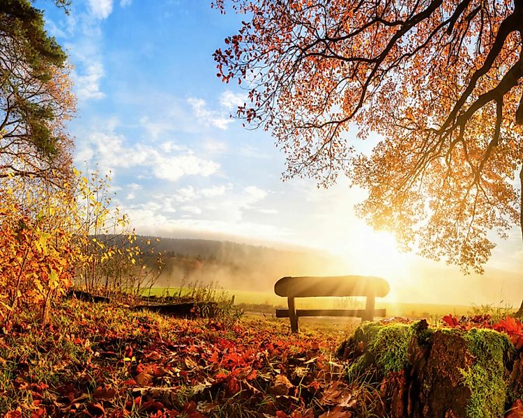Fototapete "Herbstmorgen" 4,00x2,50 m / Glattvlies Perlmutt günstig online kaufen