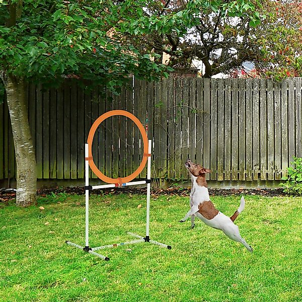 PawHut Hundetrainingsset Springring Agility-Training tragbar PE Weiß Orange günstig online kaufen