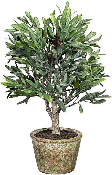 Kunstpflanze Olive, Creativ green, Höhe 70 cm, mit detailgetreuer Gestaltun günstig online kaufen