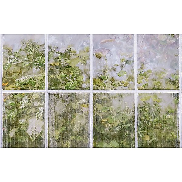 Komar Fototapete »Digitaldruck Vlies - Secret Stash - Größe 400 x 250 cm« b günstig online kaufen