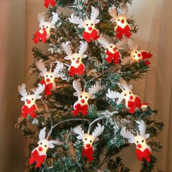 Rosnek LED-Lichterkette LED Weihnachten Party Lichtervorhang, günstig online kaufen