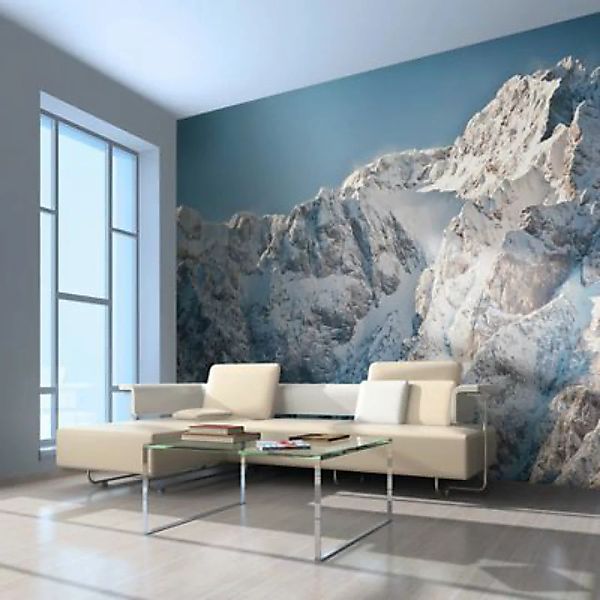 artgeist Fototapete Winter in den Alpen mehrfarbig Gr. 350 x 270 günstig online kaufen