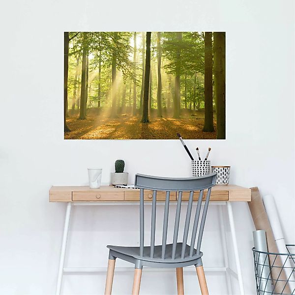 Reinders Poster "Erleuchteter Wald", (1 St.) günstig online kaufen
