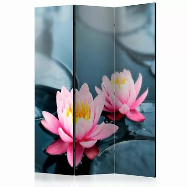 artgeist Paravent Lotus blossoms [Room Dividers] mehrfarbig Gr. 135 x 172 günstig online kaufen