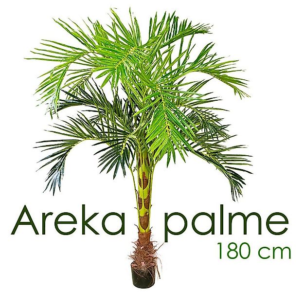 Kunstpalme Künstliche Kunstpalme Palme künstlich Arekapalme Kunstpflanze 18 günstig online kaufen