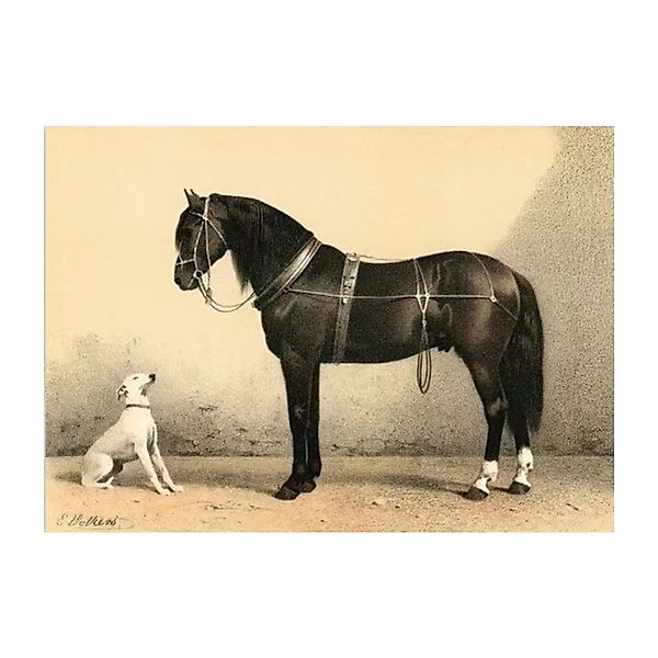 TPFLiving Kunstdruck OHNE RAHMEN, Vintage Pferd günstig online kaufen