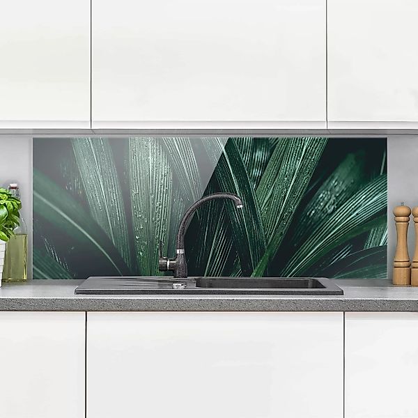 Glas Spritzschutz Blumen - Panorama Grüne Palmenblätter günstig online kaufen