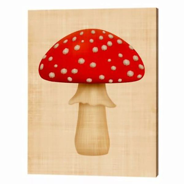 Milan Moon Wandbild Pilz weiß Gr. 60 x 80 günstig online kaufen