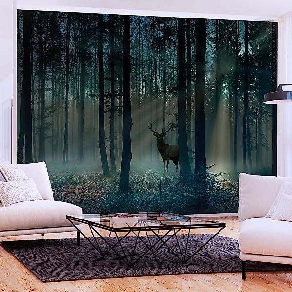 Selbstklebende Fototapete - Mystical Forest - Third Variant günstig online kaufen