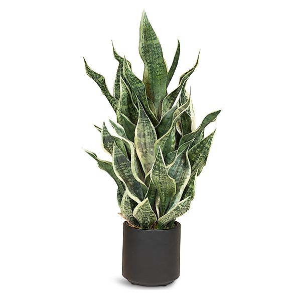 Sansevieria Bogenhanf Kunstpflanze, Höhe 85 cm günstig online kaufen