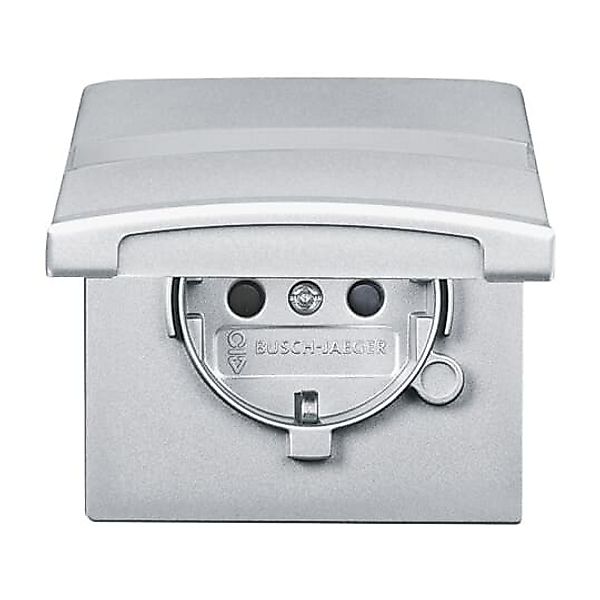 Busch-Jaeger Schuko-Steckdoseneinsatz IP44 alusilber 20 EUGKBN-33-101 günstig online kaufen