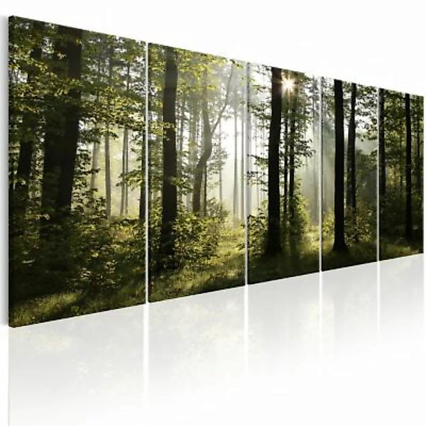artgeist Wandbild Summer Fog mehrfarbig Gr. 200 x 80 günstig online kaufen