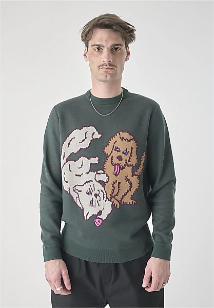 Cleptomanicx Strickpullover "Cat & Dog", mit lockerem Schnitt günstig online kaufen