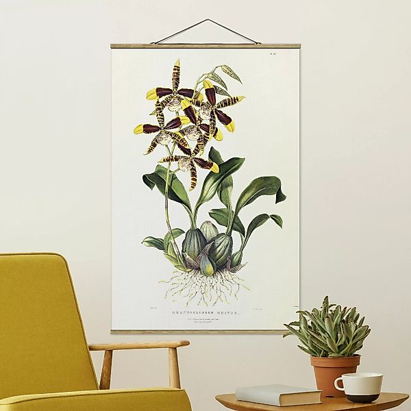 Stoffbild Blumen mit Posterleisten - Hochformat Maxim Gauci - Orchidee II günstig online kaufen