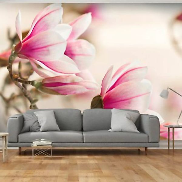 artgeist Fototapete Branch of magnolia tree mehrfarbig Gr. 350 x 270 günstig online kaufen