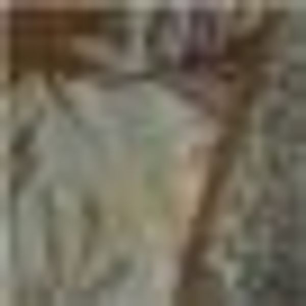 BIERBAUM Bettwäsche "Bettwäsche Mikrofaser-Seersucker "Leo"" 2 Stk. tlg. Pf günstig online kaufen