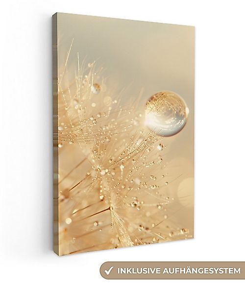OneMillionCanvasses® Leinwandbild Löwenzahn - Wasser - Natur - Pflanzen - M günstig online kaufen