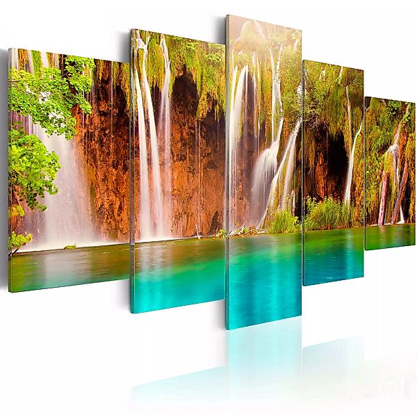 Wandbild - Forest waterfall günstig online kaufen