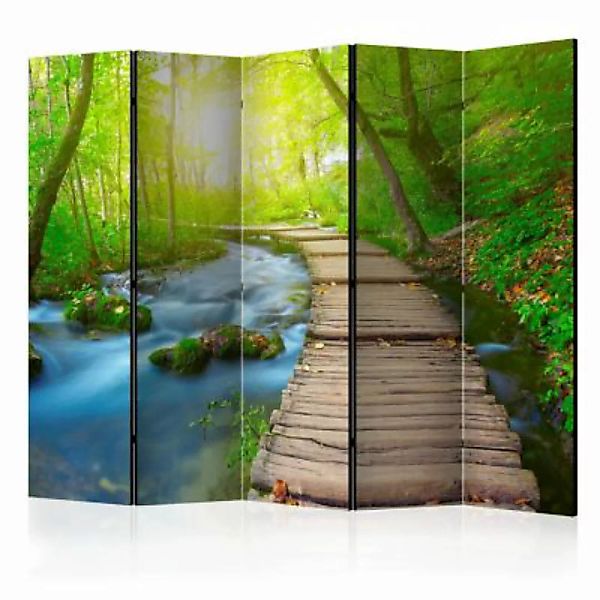 artgeist Paravent Green forest II [Room Dividers] mehrfarbig Gr. 225 x 172 günstig online kaufen