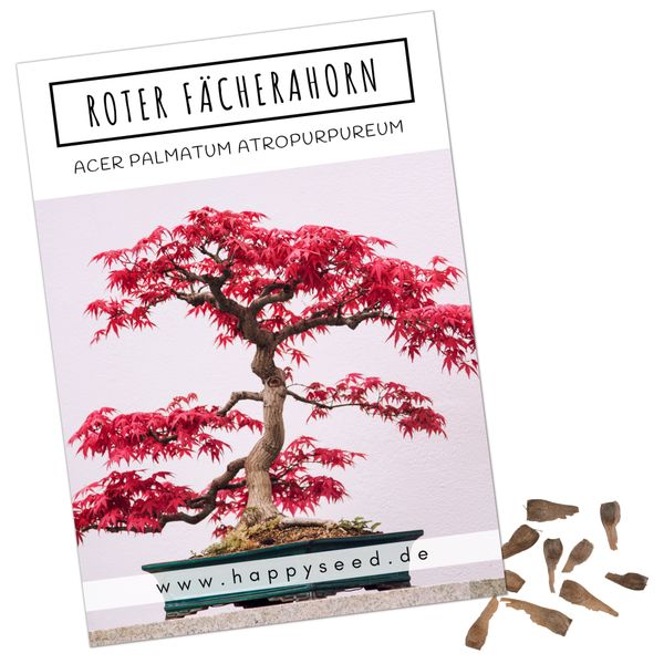 HappySeed Blumensamen Außergewöhnliche Bonsai Samen mit günstig online kaufen