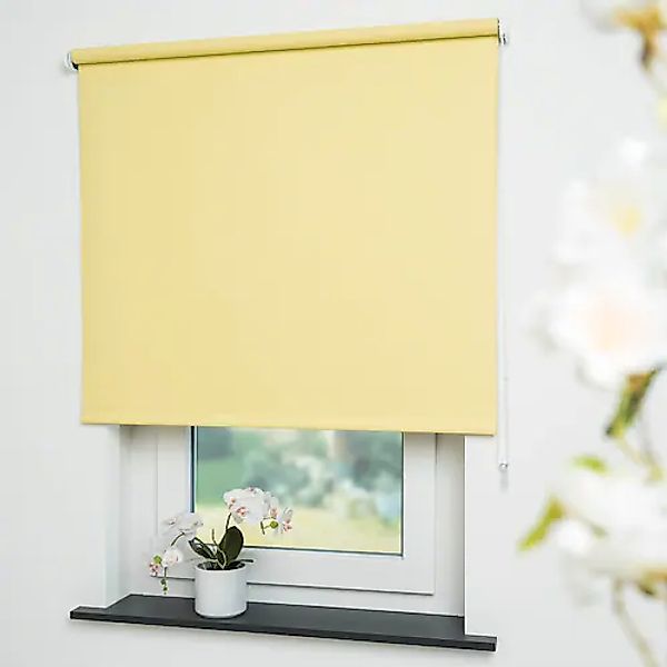 Liedeco Seitenzugrollo »Uni« verdunkelnd energiesparend mit Bohren günstig online kaufen