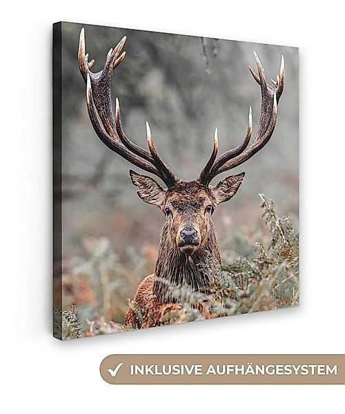 OneMillionCanvasses® Leinwandbild Hirsche - Natur - Herbst - Waldtiere, Fot günstig online kaufen
