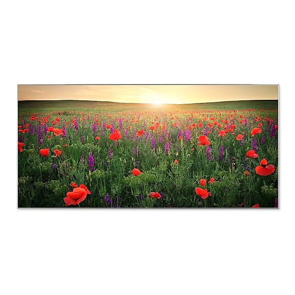 Banjado Magnettafel 78x37cm Magnetwand  Silber Aus Metall Magnetpinnwand Pi günstig online kaufen