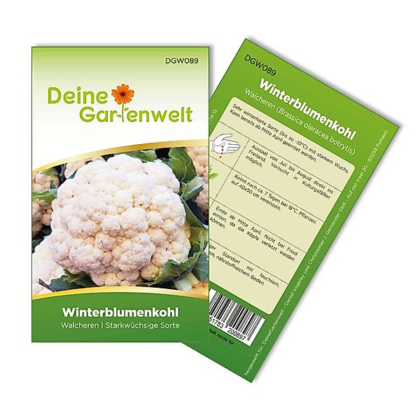 Deine Gartenwelt Winterblumenkohl Walcheren Samen günstig online kaufen