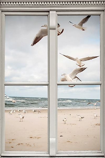 queence Leinwandbild "Möwen", Meer-Natur-Vögel-Fensterblick, (1 St.), Premi günstig online kaufen