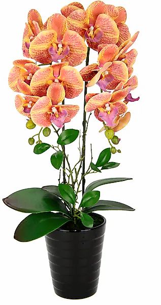 I.GE.A. Kunstblume »Orchidee«, Im Topf Phalaenopsis Orchidee Phalaenopsis m günstig online kaufen