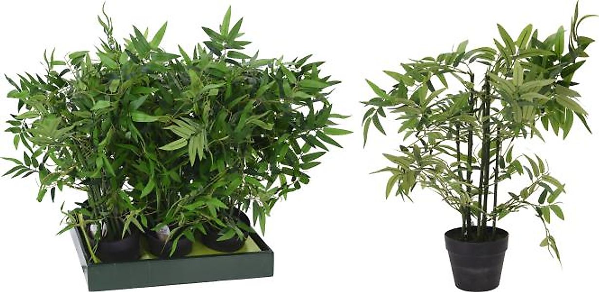 BAMBOO Dekopflanze inkl Topf 60 cm Grün günstig online kaufen
